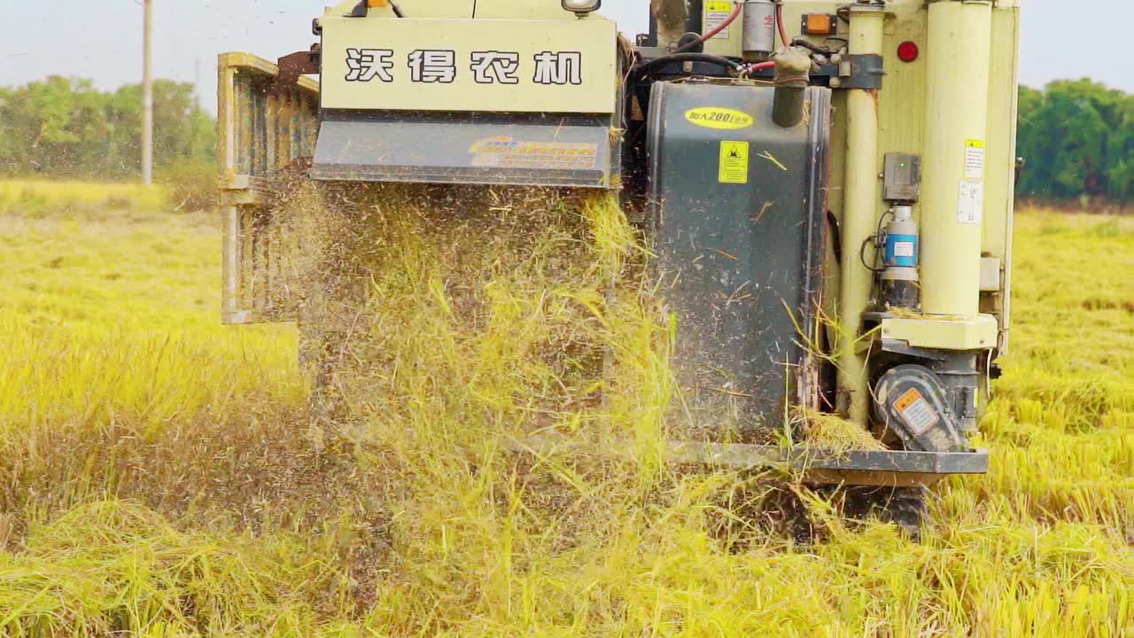 农田机械收获水稻的场景视频素材