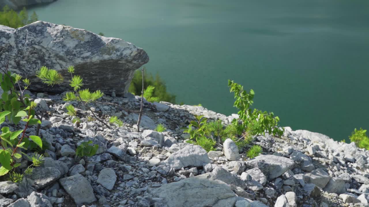 活跃的老年男子训练北欧步行。自然背景。积极的休闲活动。徒步旅行的人。老年人健康的生活方式。视频素材