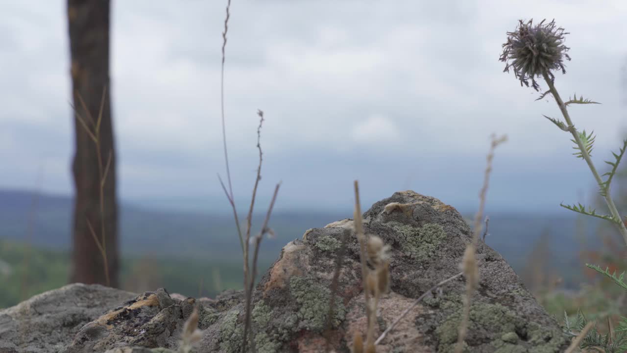 游客的脚踩在岩石上。以山脉为背景的靴子。保护腿部不受伤害。视频素材