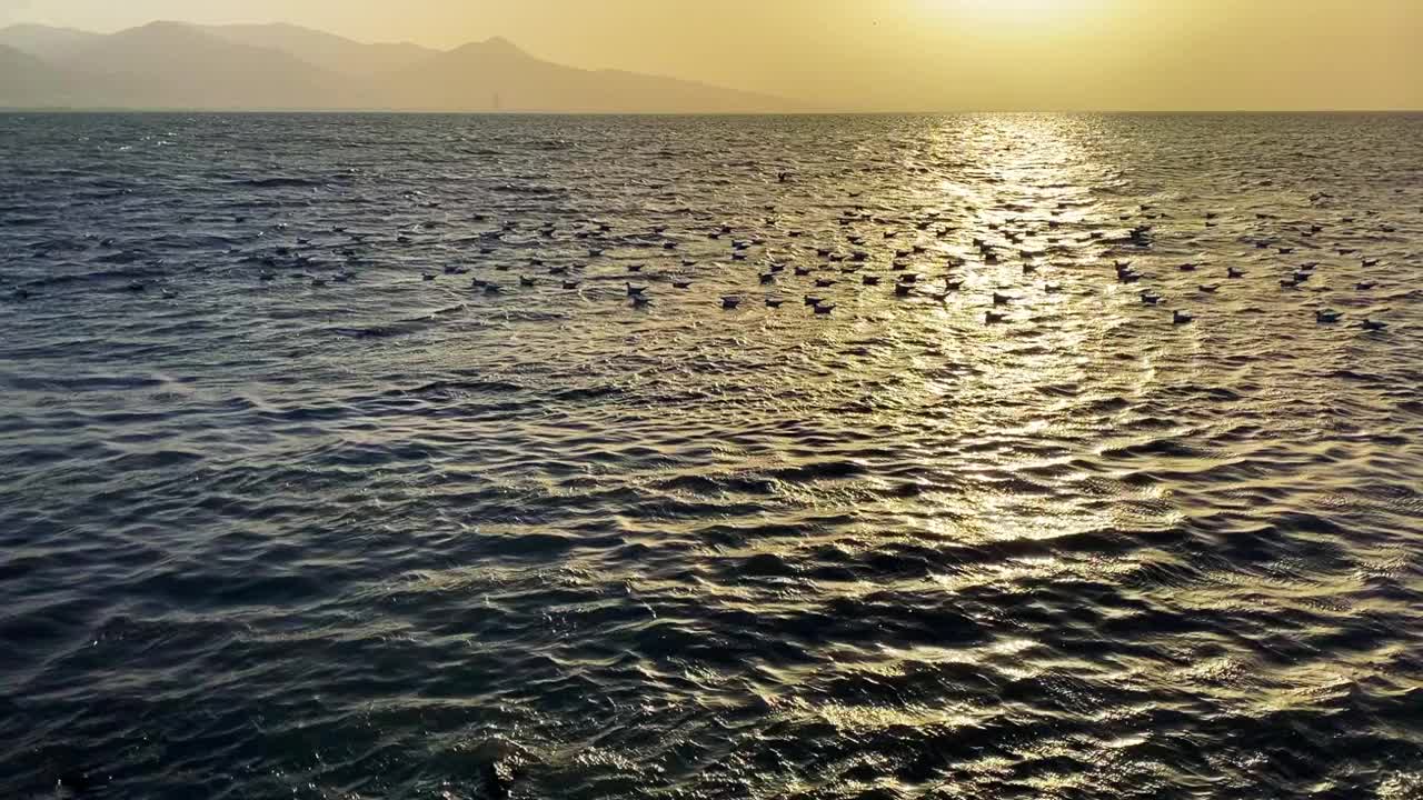 海和天空视频素材