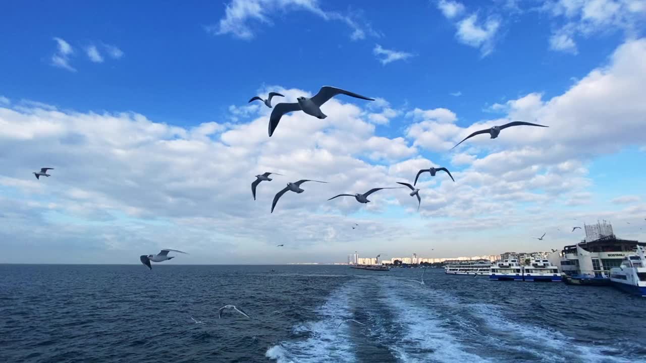 海和天空视频素材