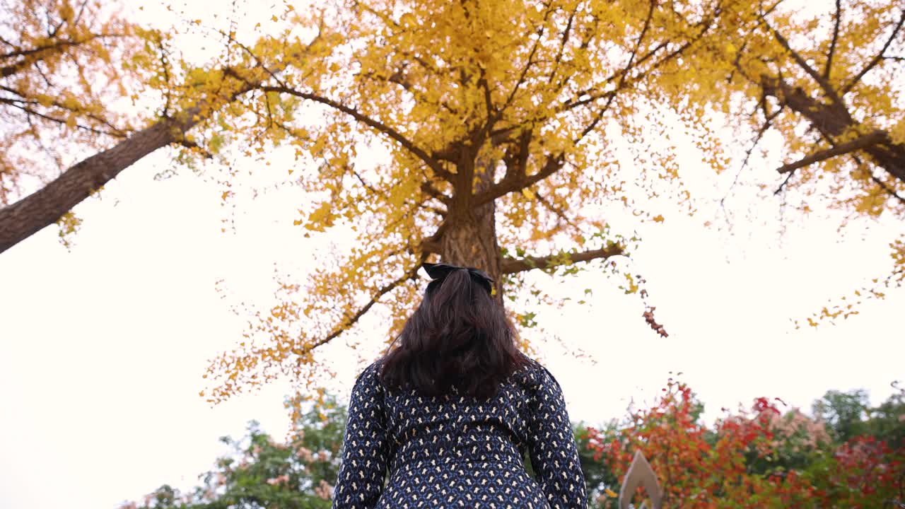 女人把金色的秋叶扔在头顶视频素材