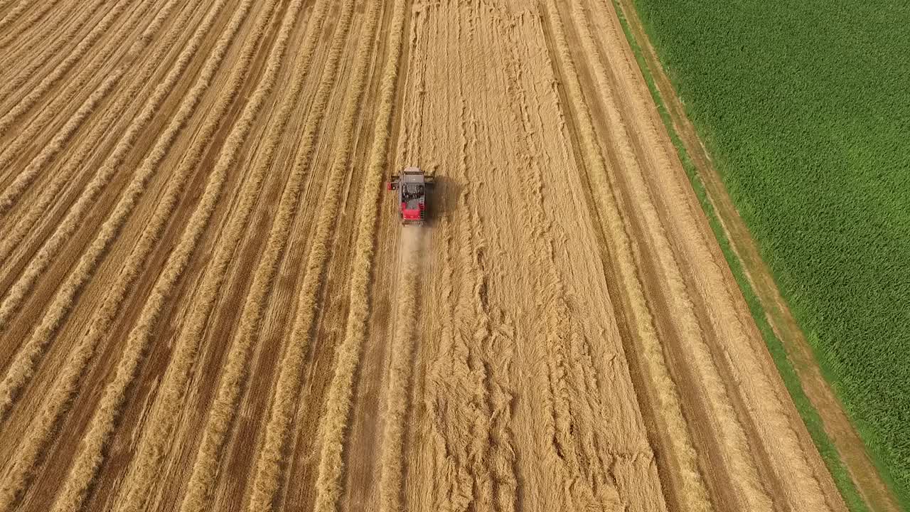 航拍的农民在联合收割机收割冬小麦作物视频素材