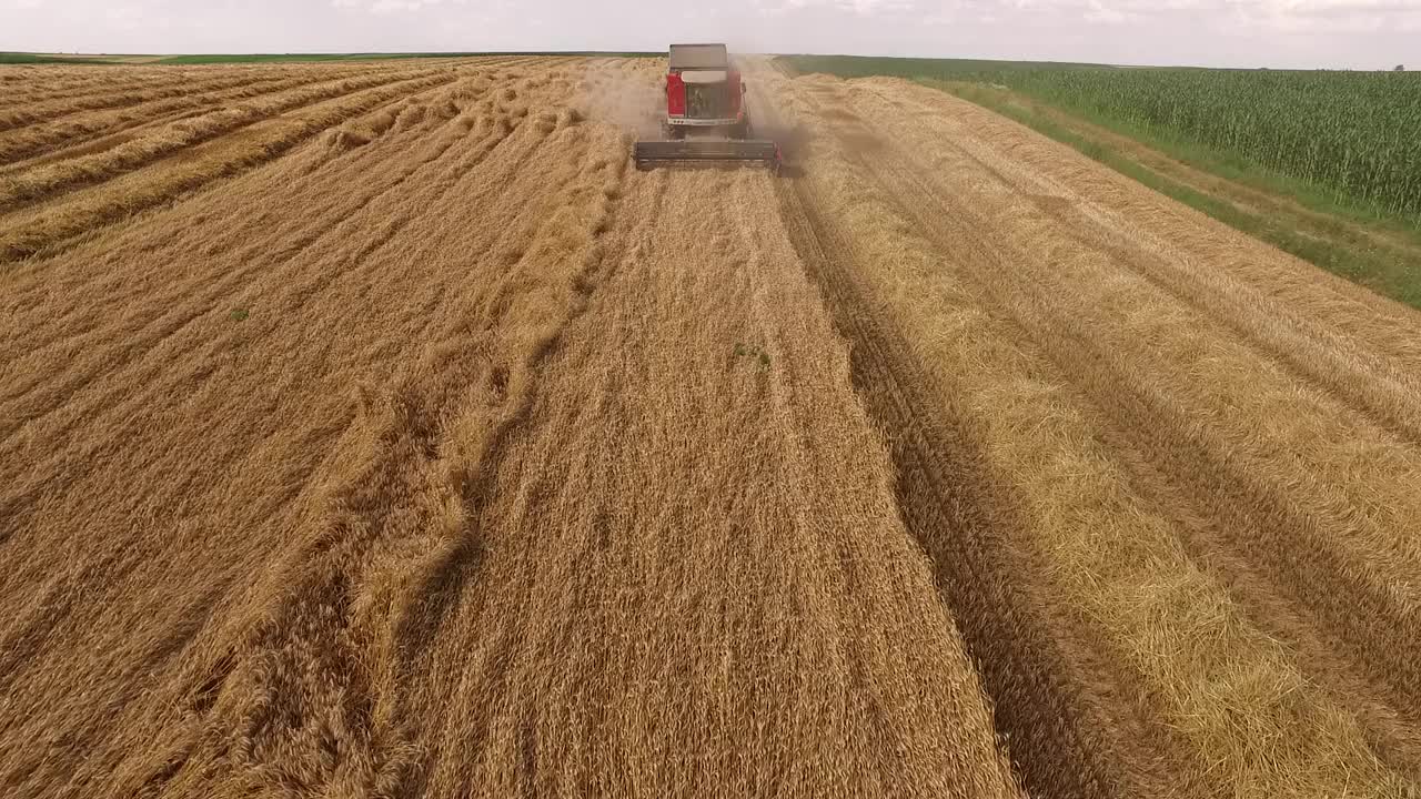 航拍的农民在联合收割机收割冬小麦作物视频素材