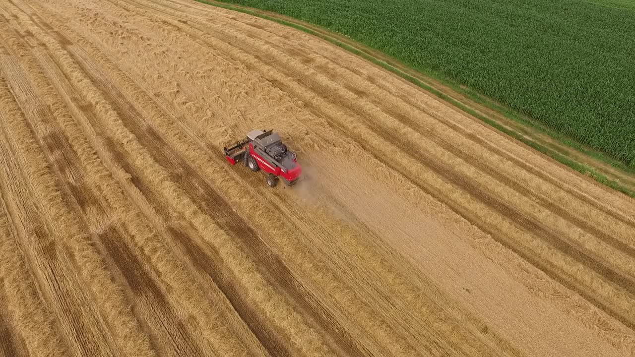 航拍的农民在联合收割机收割冬小麦作物视频素材