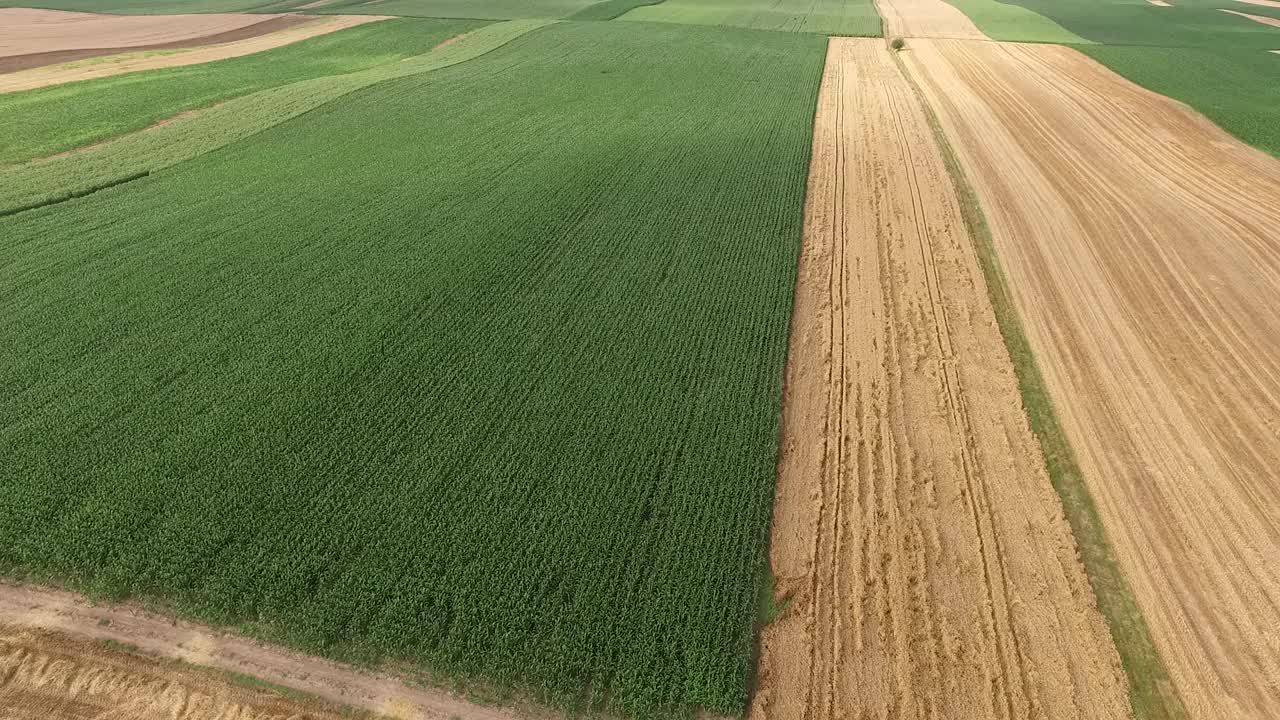 航拍的农民在联合收割机收割冬小麦作物视频素材