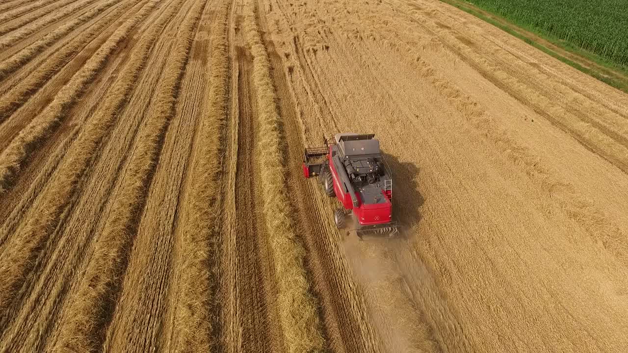 航拍的农民在联合收割机收割冬小麦作物视频素材