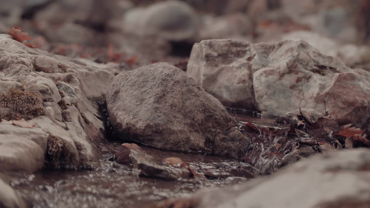 树叶在秋天的水中流动视频素材