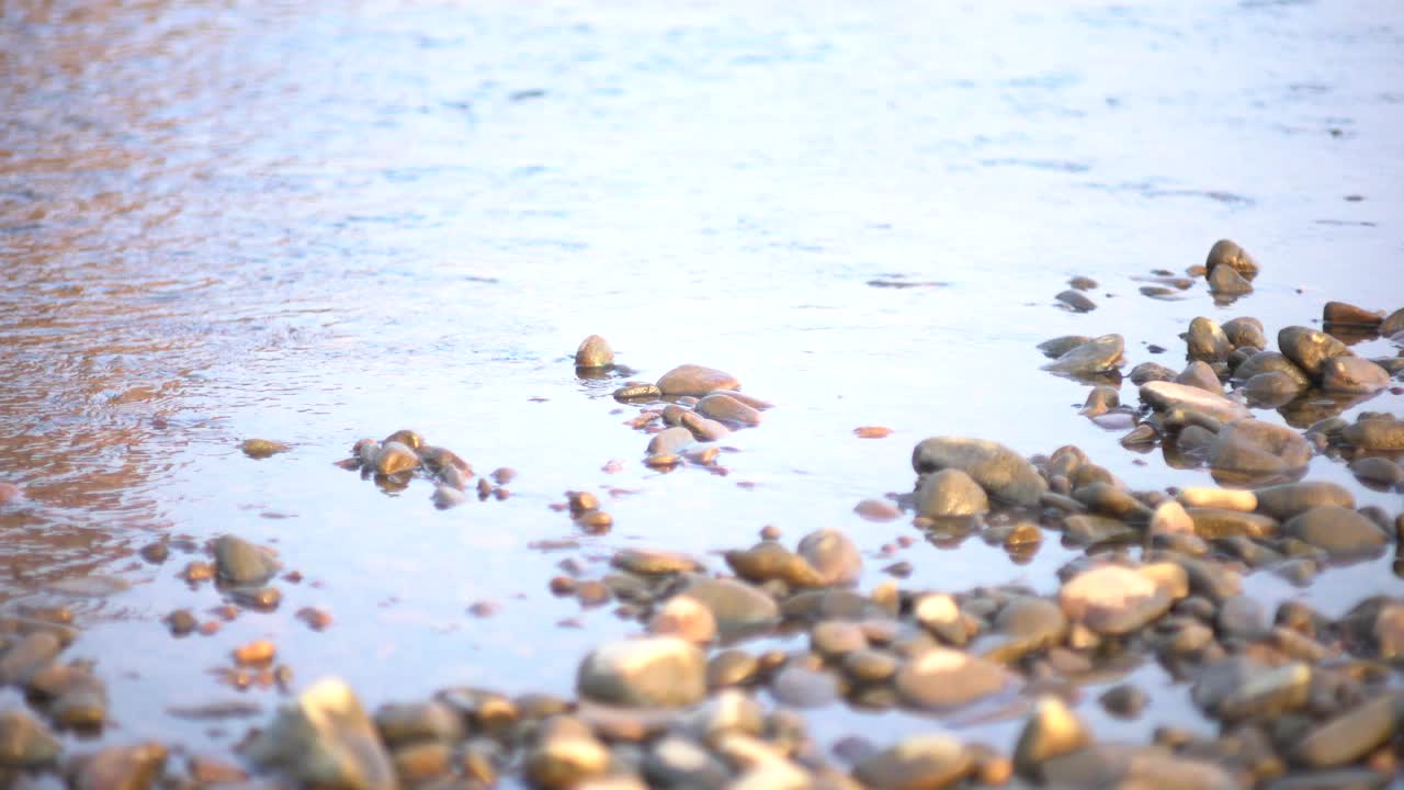 卵石河滩上的流水视频素材