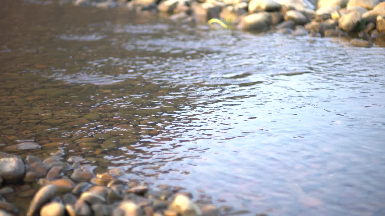 卵石河滩上的流水视频素材