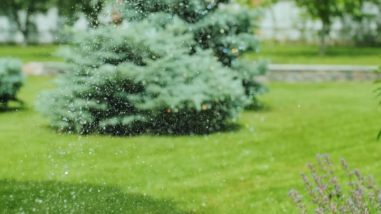 给花园浇水的特写，公园里的草和花，阳光下的水滴。草、花自动浇水系统。水滴在阳光下飞溅。视频素材