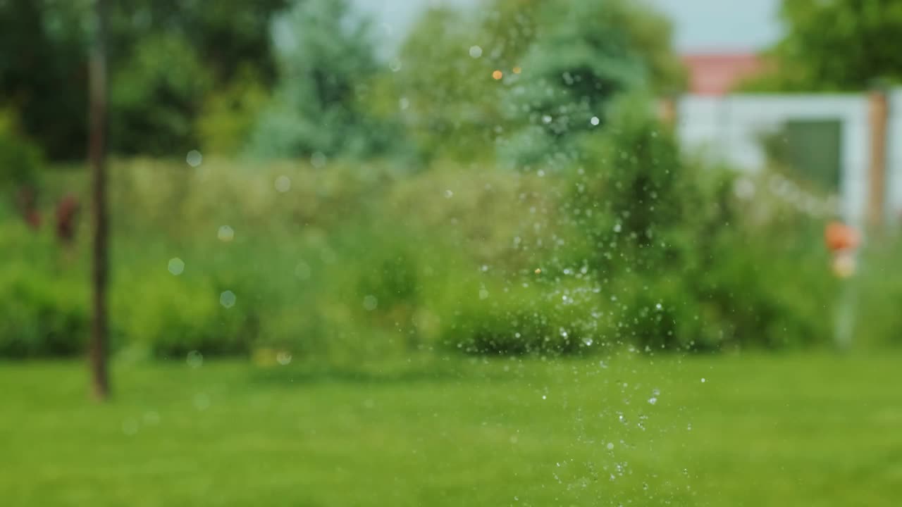 给花园浇水的特写，公园里的草和花，阳光下的水滴。草、花自动浇水系统。水滴在阳光下飞溅。视频素材