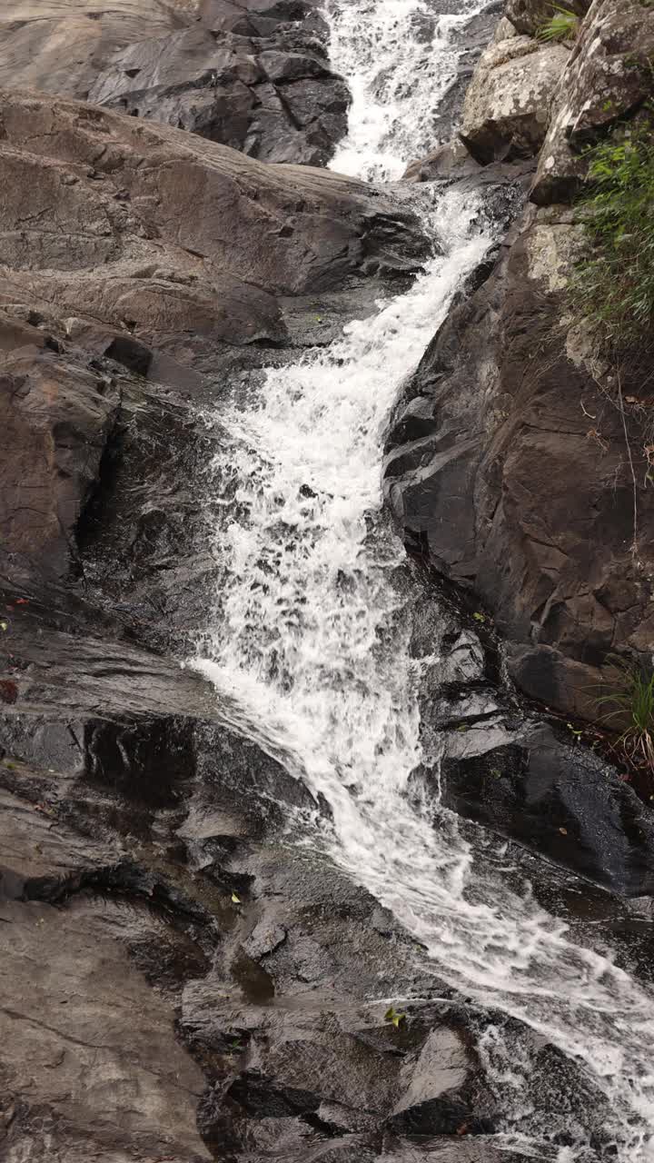 Cedar Creek Falls, Tamborine Mountain垂直视频，100fps慢动作视频素材