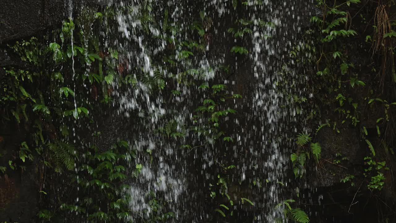 Curtis Falls, Tamborine Mountain的细节，100fps慢镜头视频素材