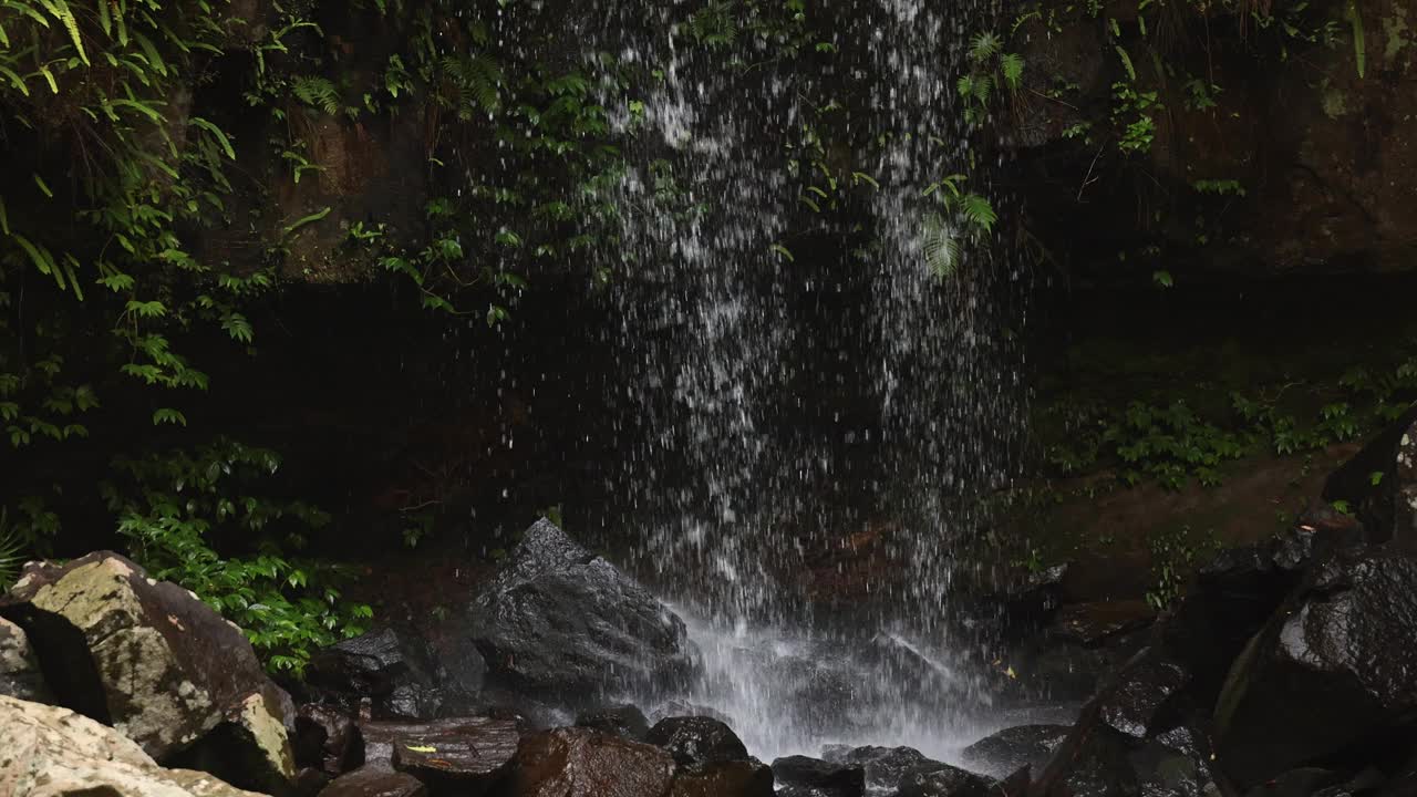 Curtis Falls, Tamborine Mountain的细节，100fps慢镜头视频素材