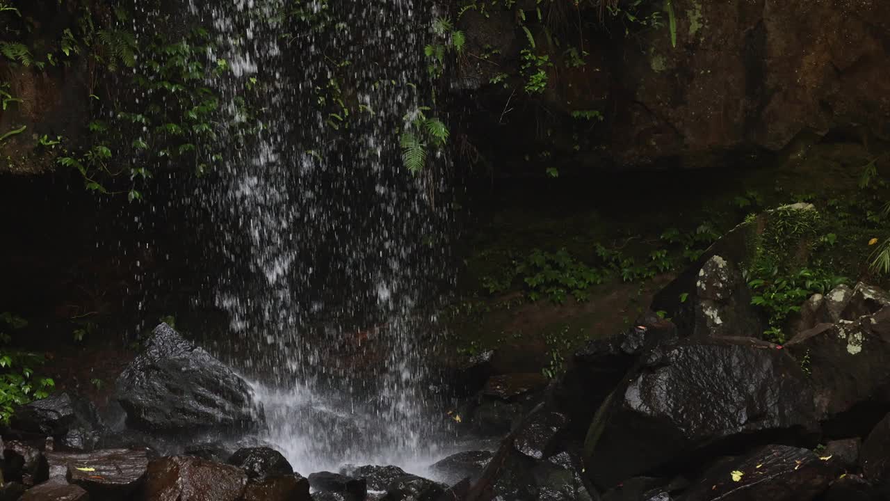 Curtis Falls, Tamborine Mountain的细节，100fps慢镜头视频素材