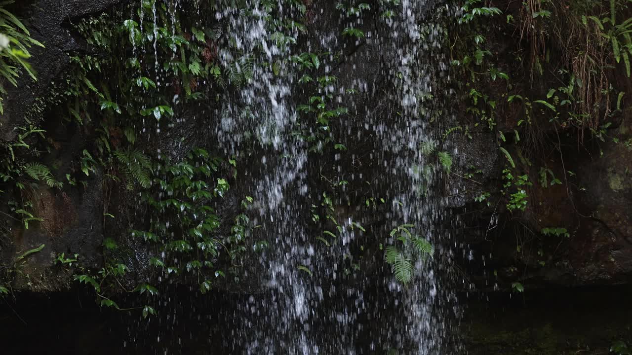 Curtis Falls, Tamborine Mountain的细节，100fps慢镜头视频素材