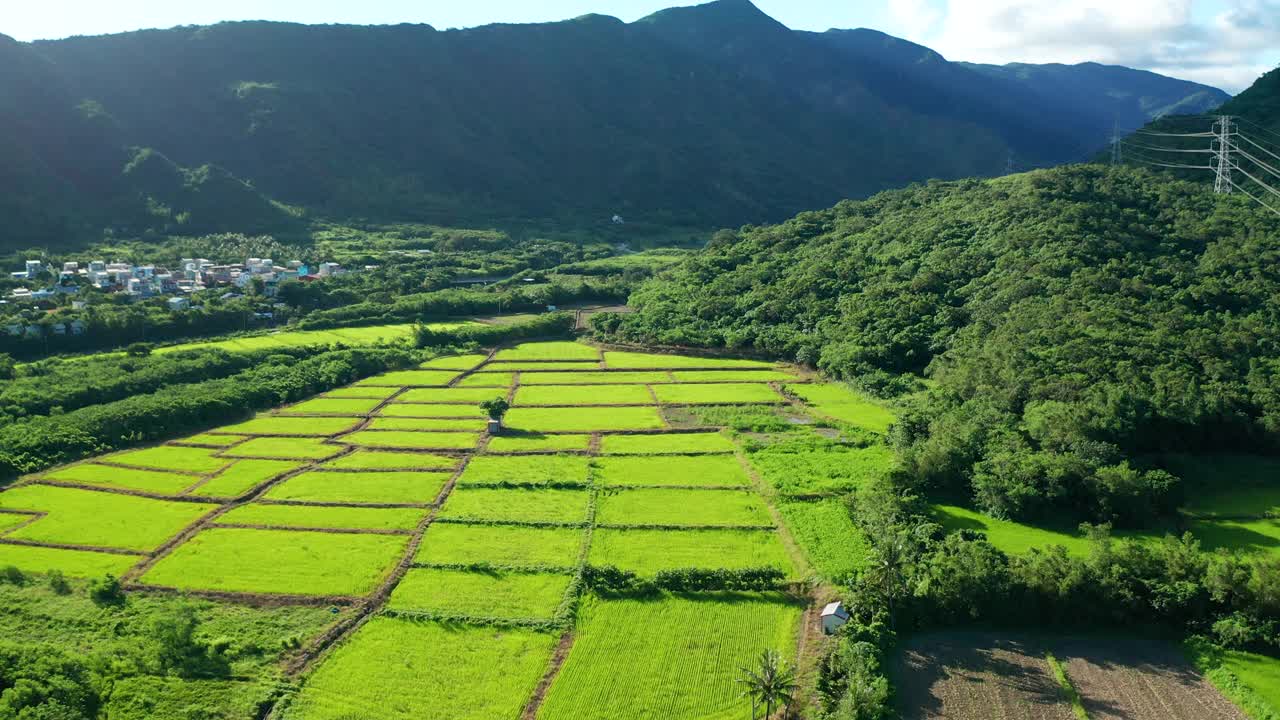 鸟瞰屏东山谷的农田，台湾视频素材