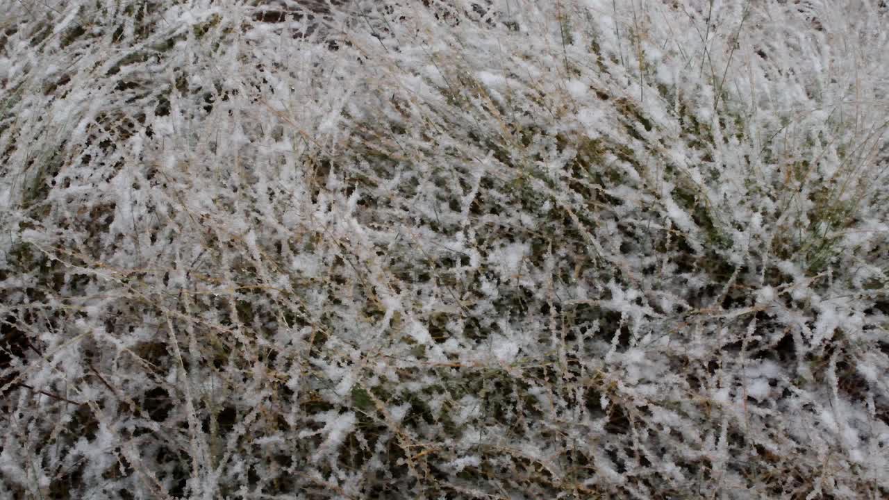 秋天开始下雪了，山上，下雪，视频素材