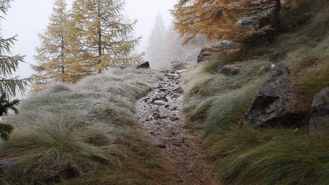 秋天开始下雪了，山上，下雪，视频素材