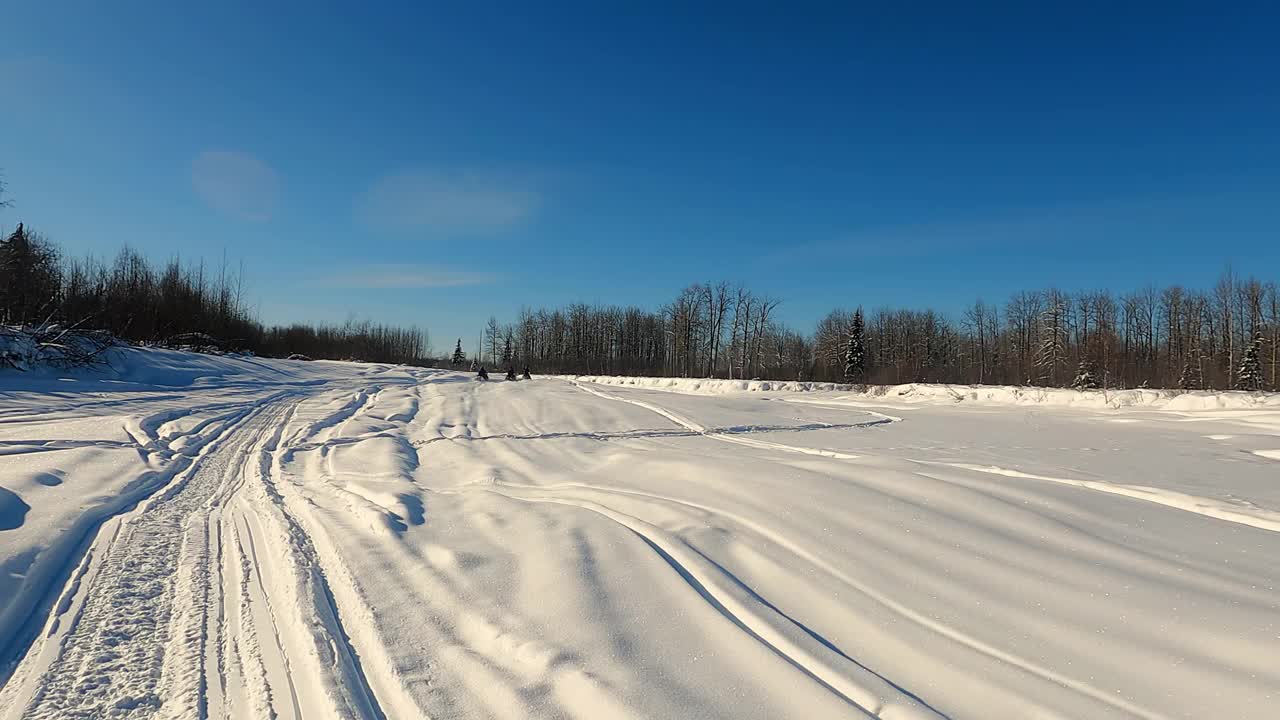 雪地摩托慢动作穿越松林的POV视图。视频素材