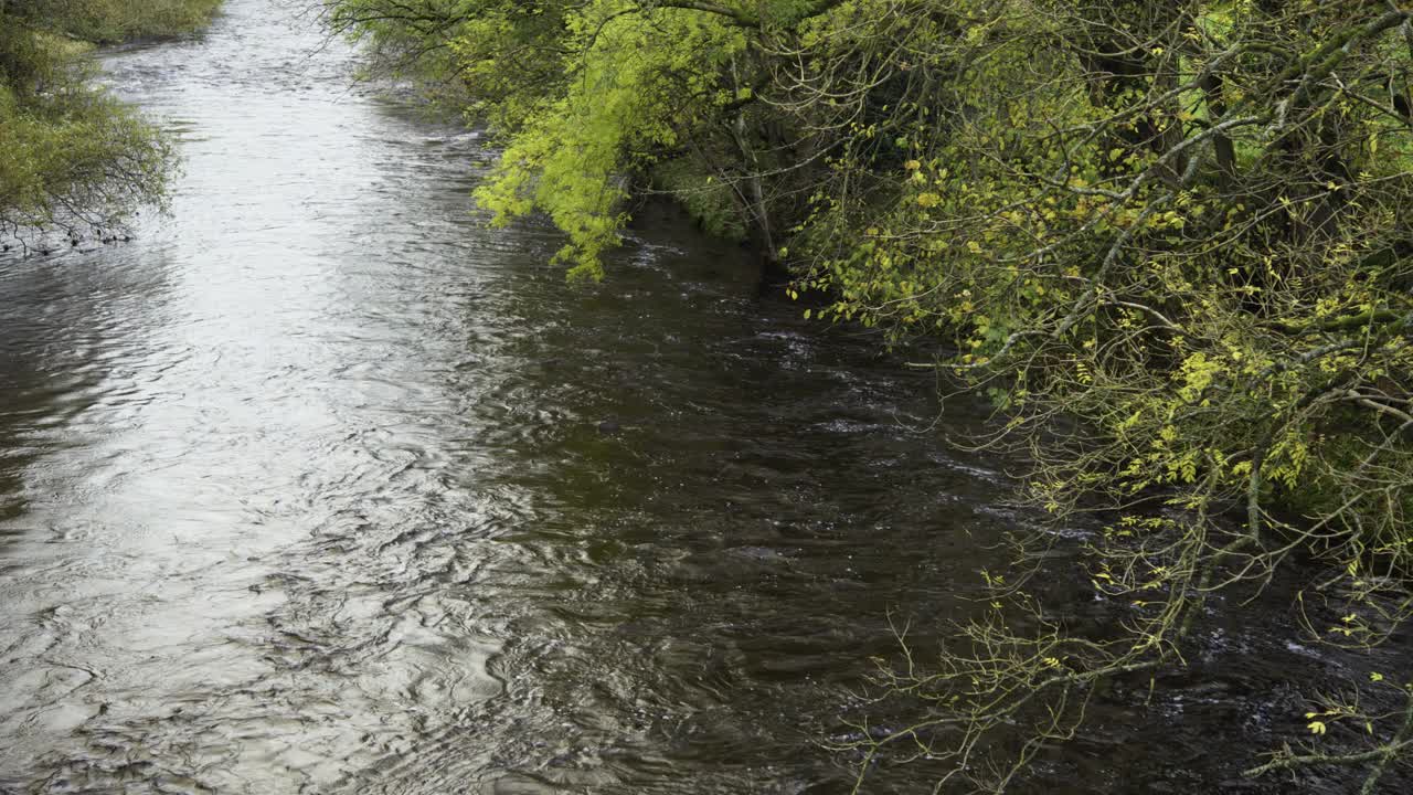 苏格兰乡村的林地和河流视频素材