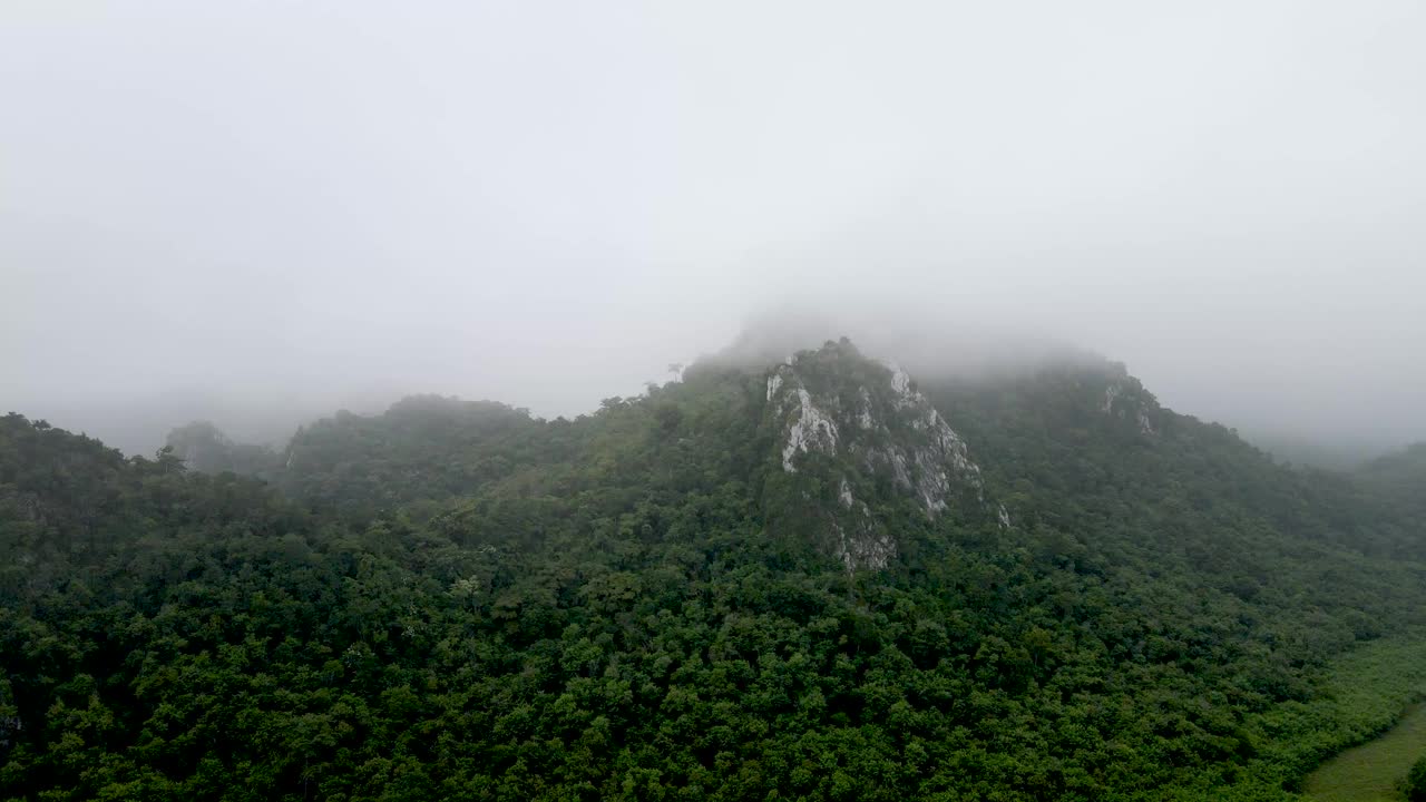 鸟瞰风景山与雾和绿色的森林视频素材