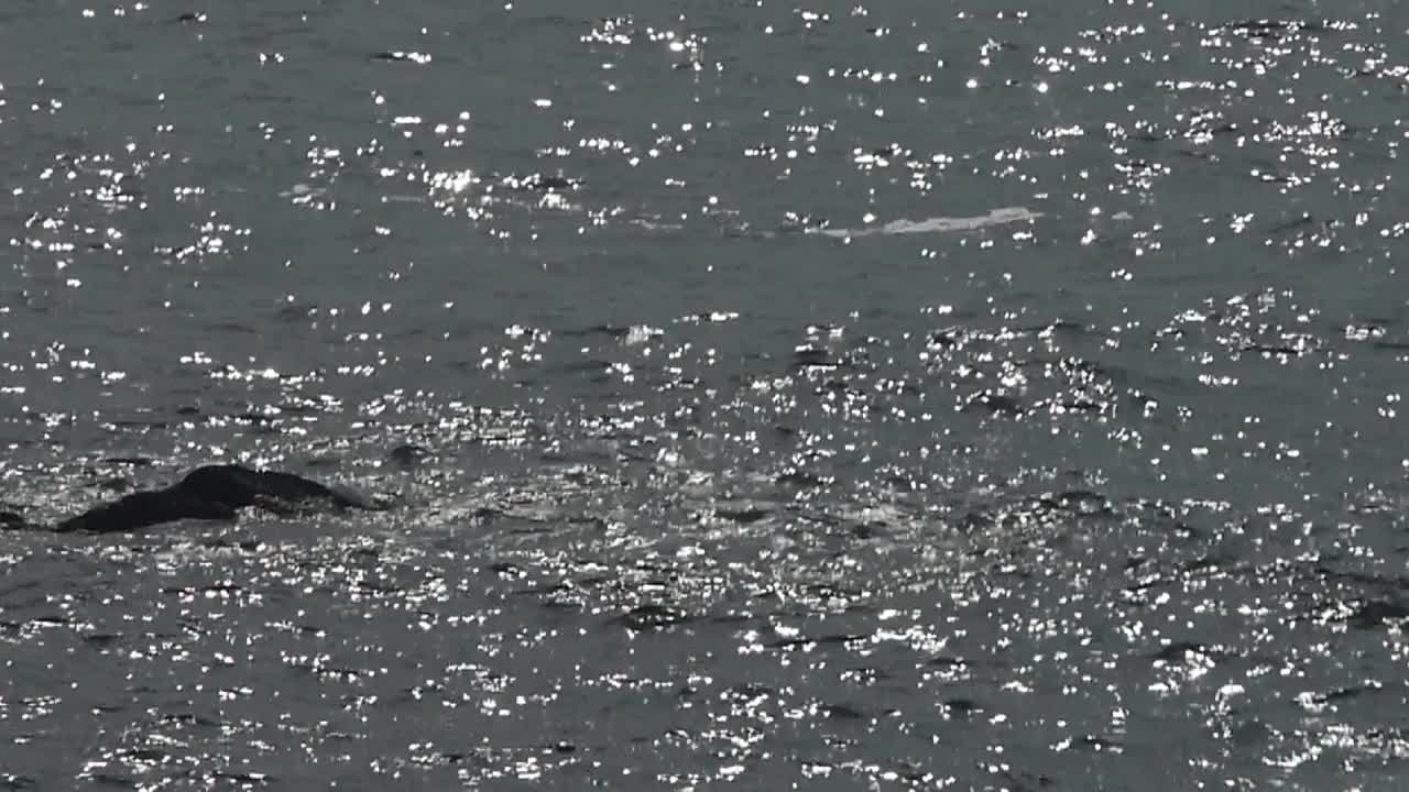 海海浪。视频素材