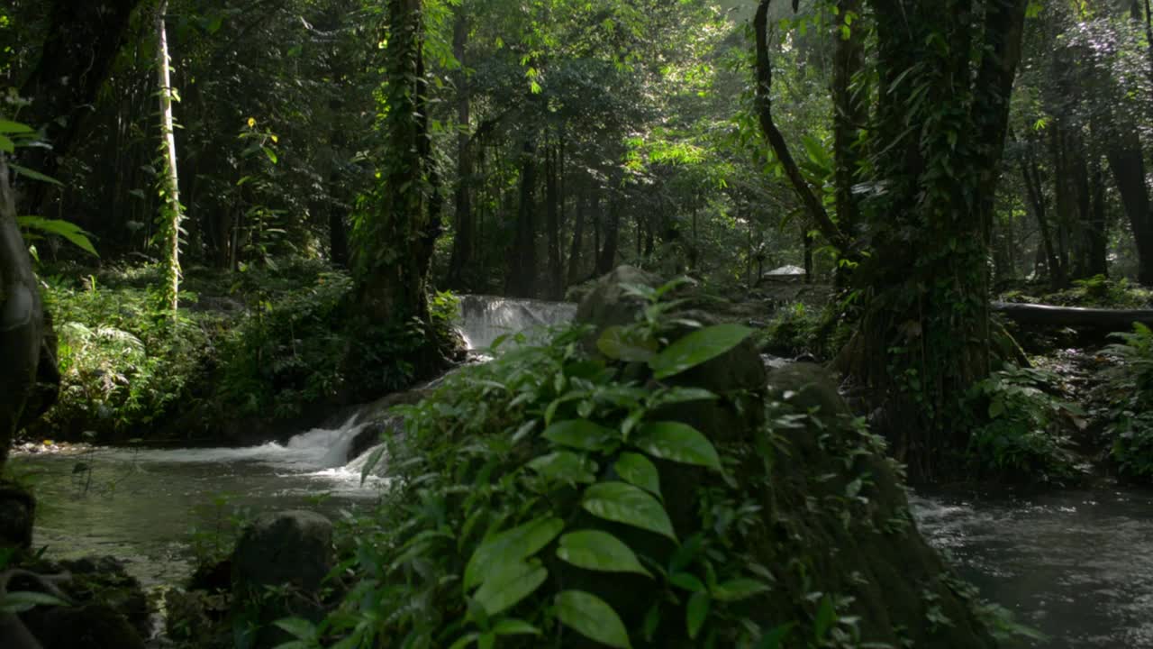 在热带森林的阳光下，美丽的瀑布在茂密的树叶植物之间流动。风景宁静的绿色森林与水流过岩石到池塘。视频素材