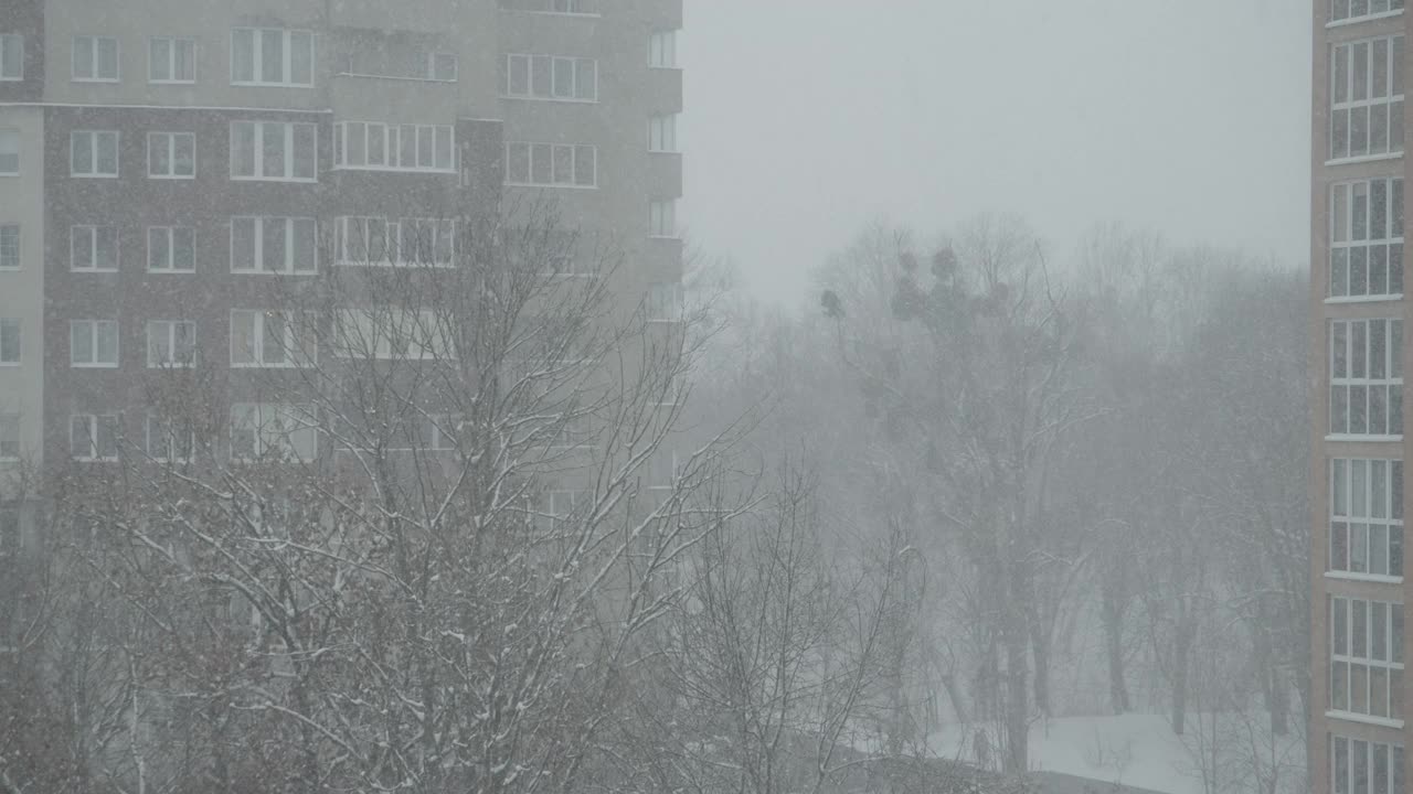 城市里大雪纷飞，能见度很低视频素材