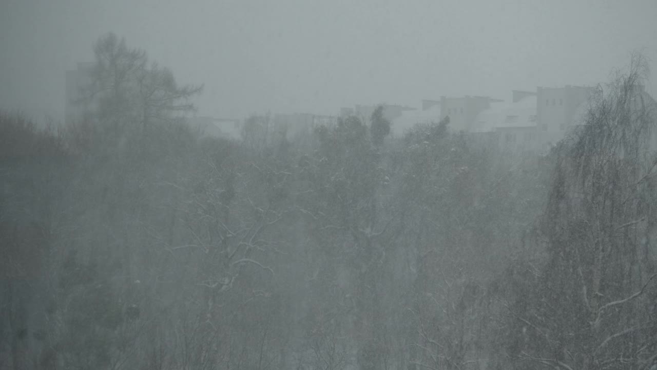 城市里大雪纷飞，能见度很低视频素材