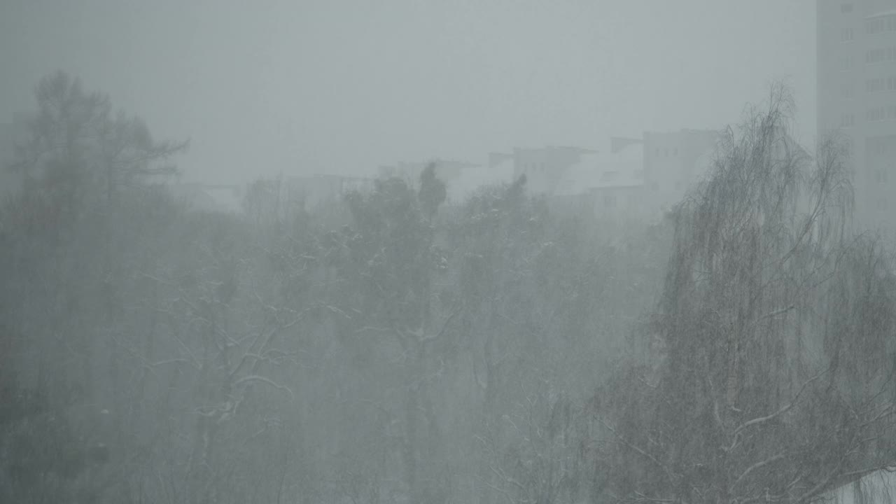 城市里大雪纷飞，能见度很低视频素材