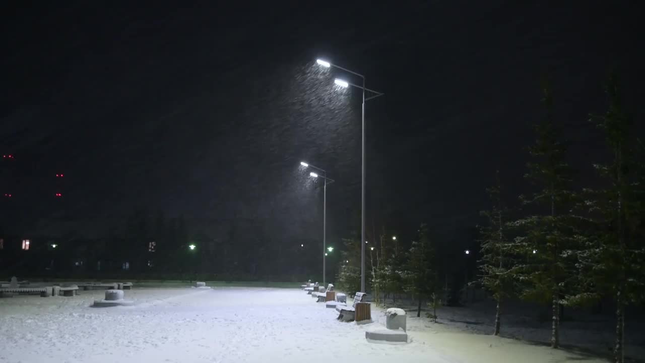 夜间公园里风雪交加，路灯下满雪堆视频下载