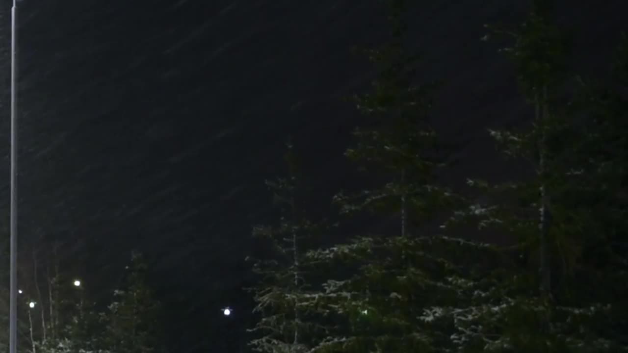 夜间公园里风雪交加，路灯下满雪堆视频下载