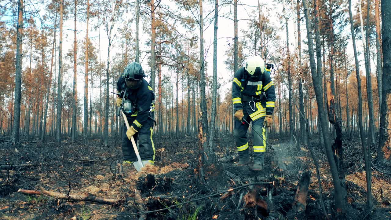 剩余的森林大火正在被消防员处理视频素材