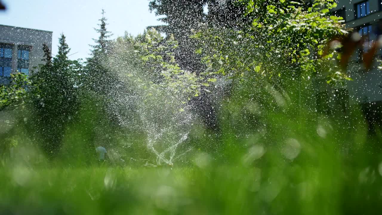 草灌溉。洒水车头浇绿草草坪。视频素材