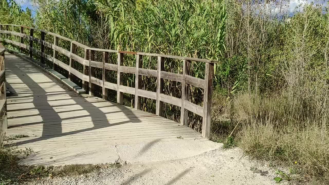 木桥上的河流在公园绿地，第一人称视图视频素材