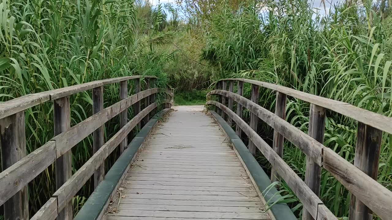 木桥上的河流在公园绿地，第一人称视图视频素材