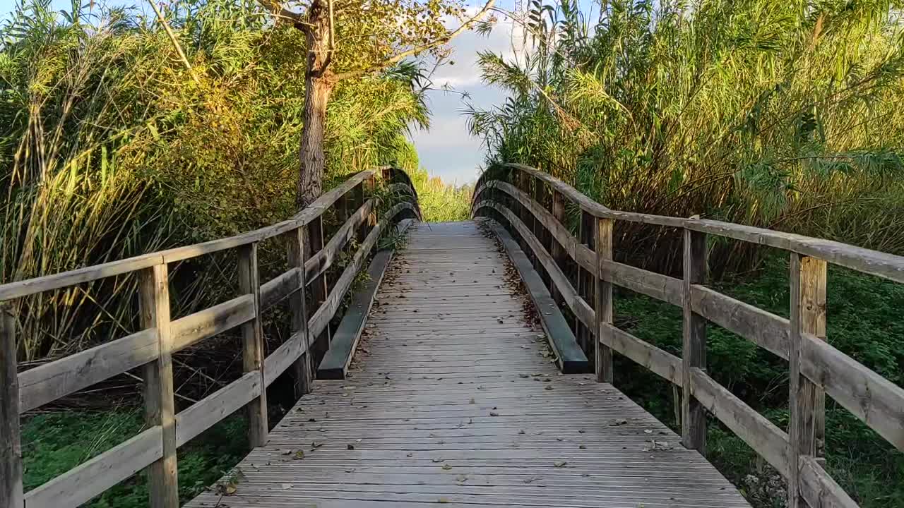 木桥上的河流在公园绿地，第一人称视图视频素材