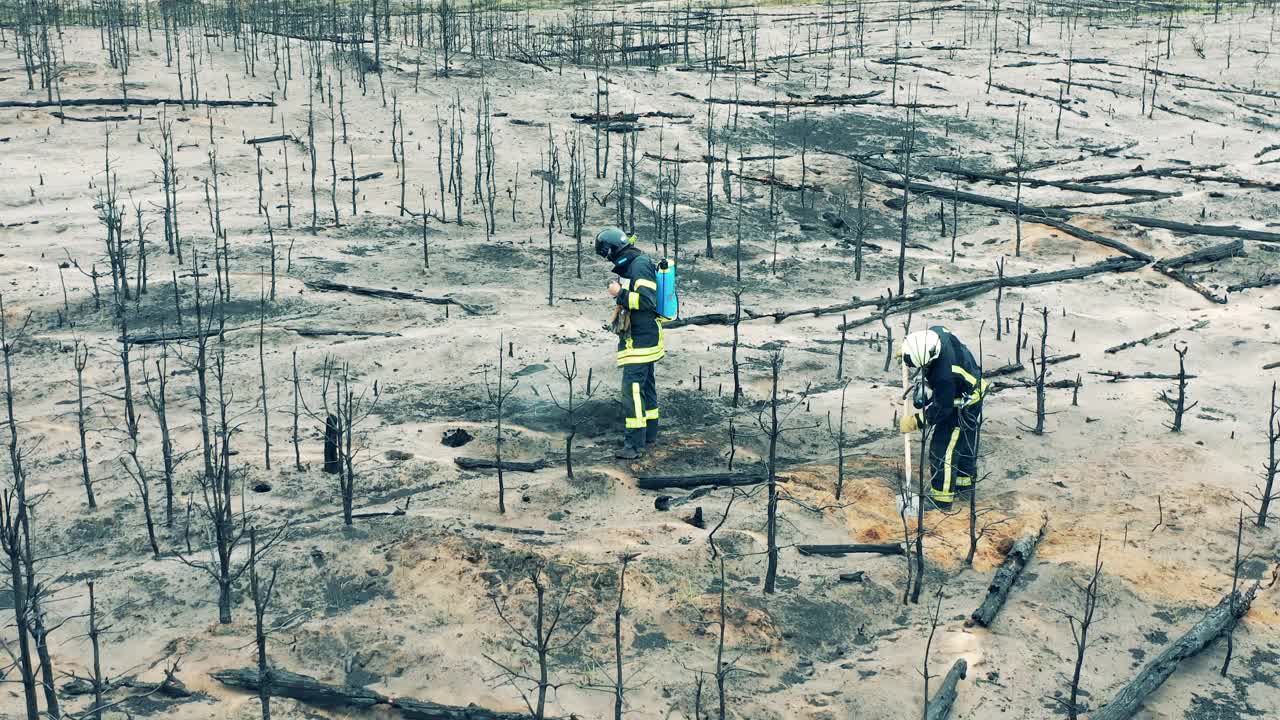 两名消防队员在森林火区灭火视频素材