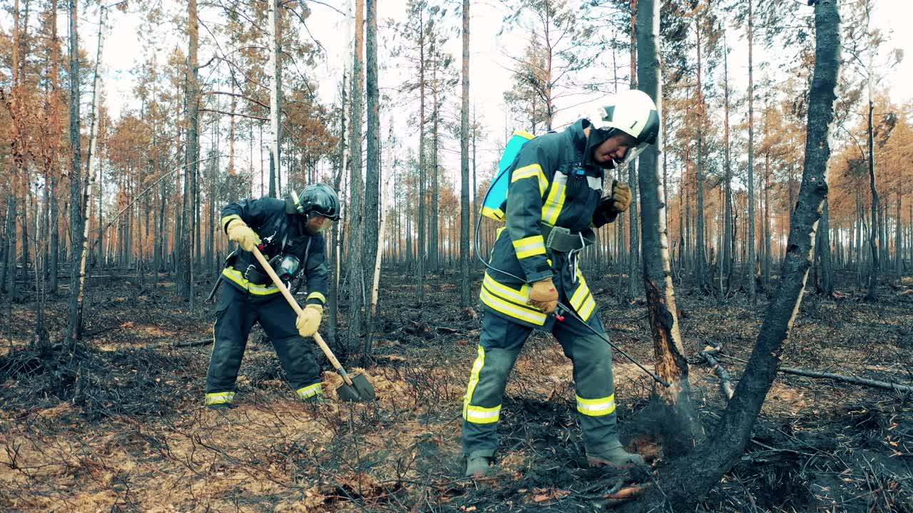 消防队员正在扑灭燃烧的森林地面视频素材