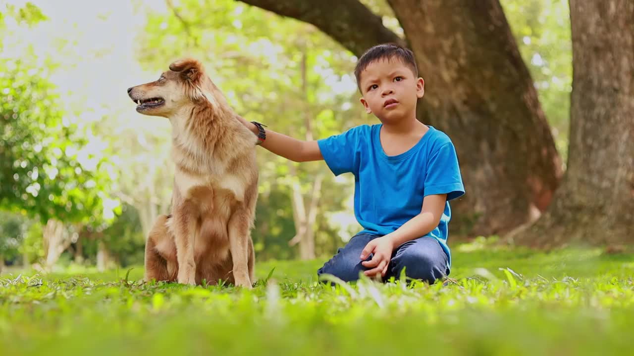 孩子们在公园里和狗玩耍视频素材