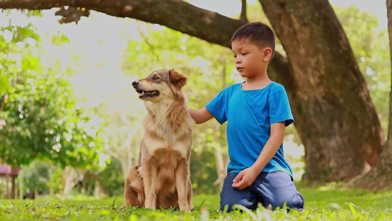 孩子们在公园里和狗玩耍视频素材