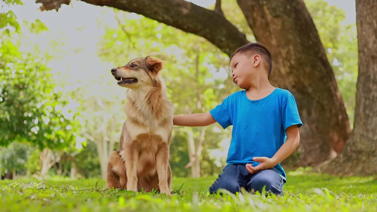 孩子们在公园里和狗玩耍视频素材