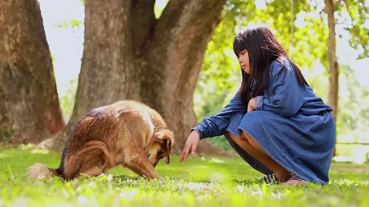 孩子们在公园里和狗玩耍视频素材