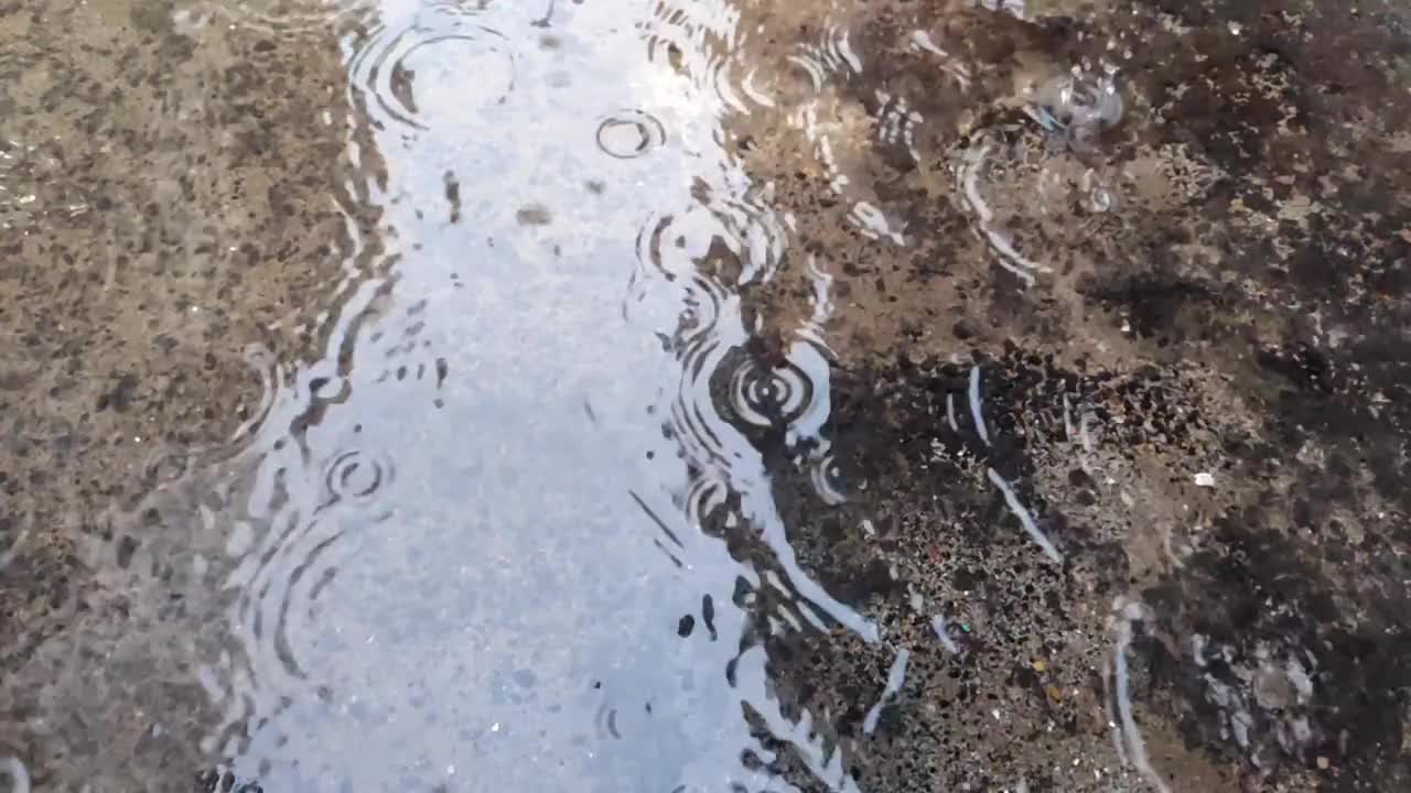 秋天的雨水滴在柏油路上的大水坑里，淹没了街道视频下载