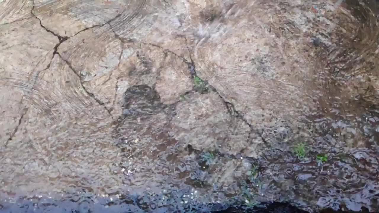 秋天的雨水滴在柏油路上的大水坑里，淹没了街道视频素材