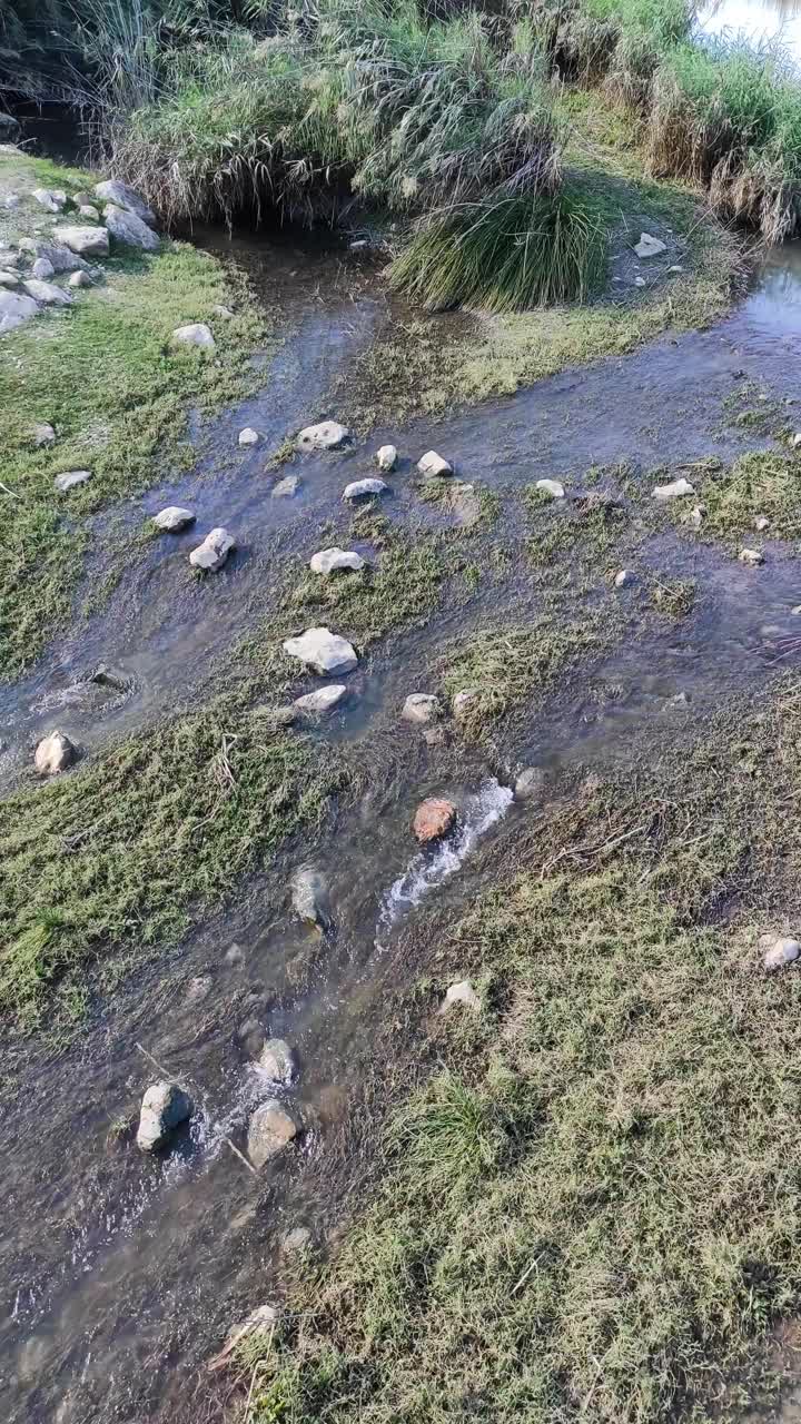 大雨后的浅溪视频素材