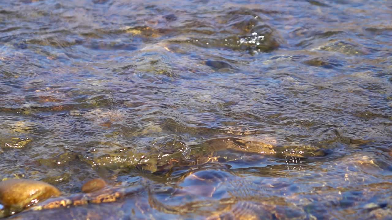 浅浅的山间河流，被阳光的光线照亮，缓慢的运动，背景视频素材