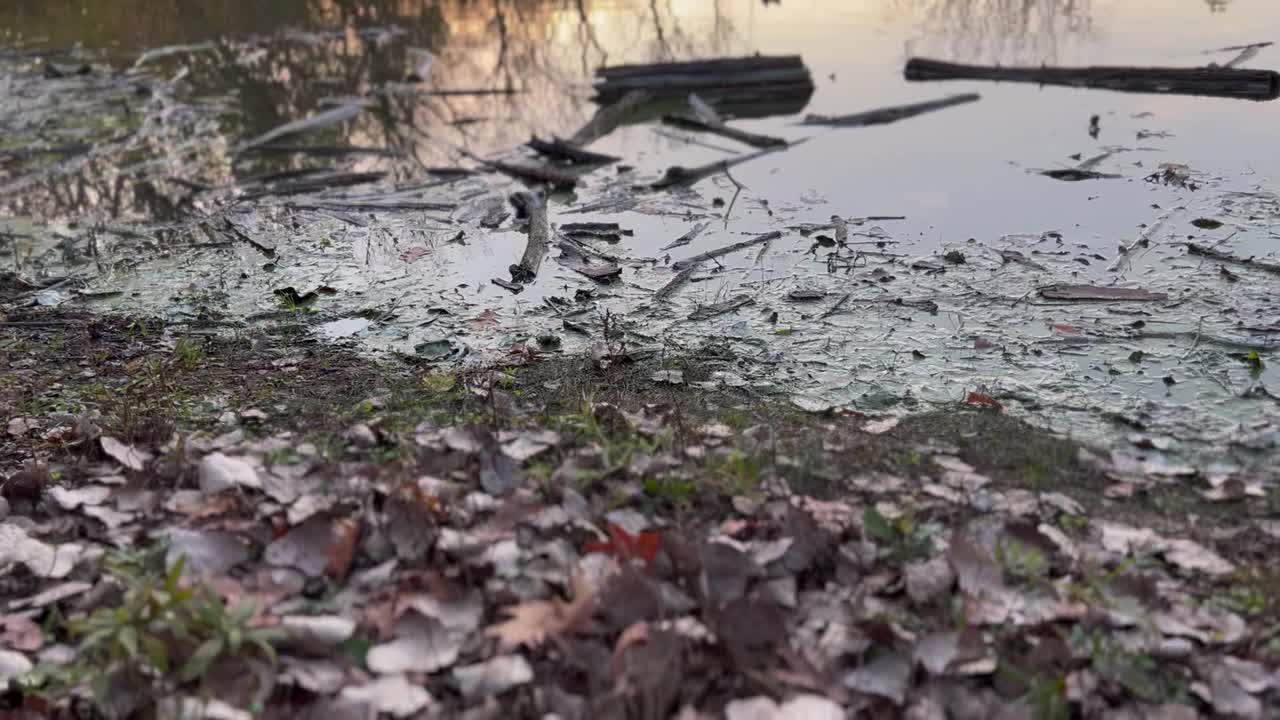 莫尔登公园-秋景视频素材